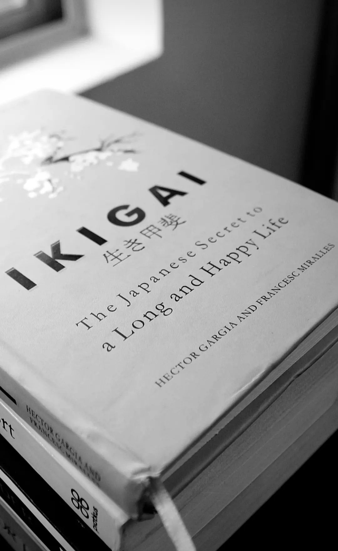 ikigai-the-japanese-secret-to-a-long-and-happy-life-summary-shebin-s